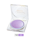 هايلايتر اضاءة بوليشيد رقم 05 من كرستين CH-H2301