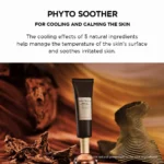 ⁦SKIN1004 مدغشقر سينتيلا بروبيو-سيكا جلو صن أمبولة 50 مل⁩ - الصورة ⁦2⁩