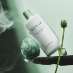 ⁦SKIN1004 واقي شمس مهدئ بخلاصة شاي سنتيلا مدغشقر - 50 مل⁩ - الصورة ⁦2⁩