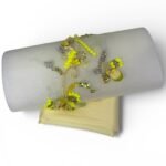 بانوه فخم بالوان جذابه